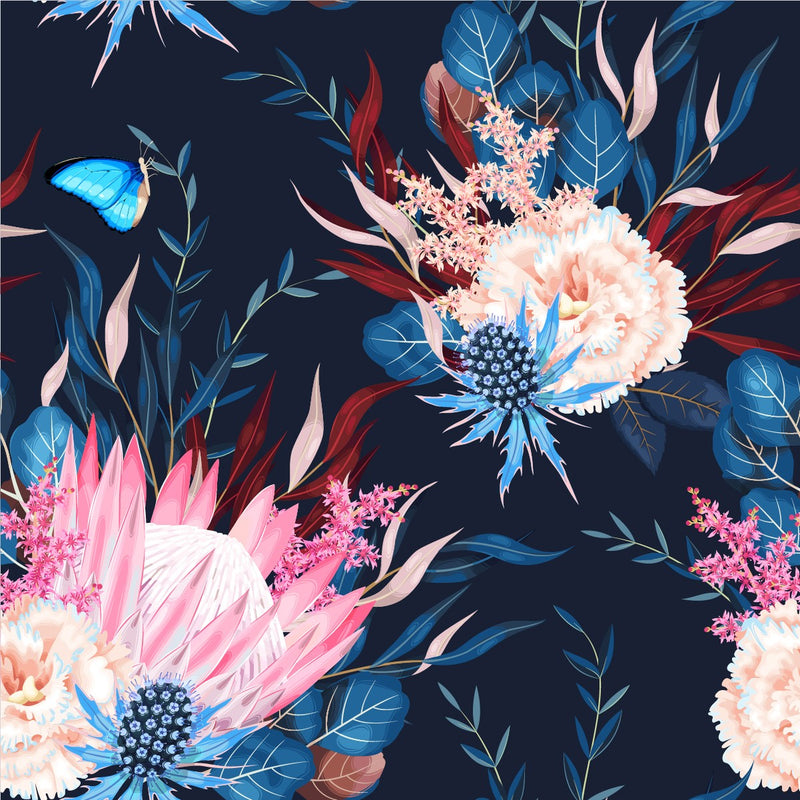 Protea on Dark Blue Wallpaper