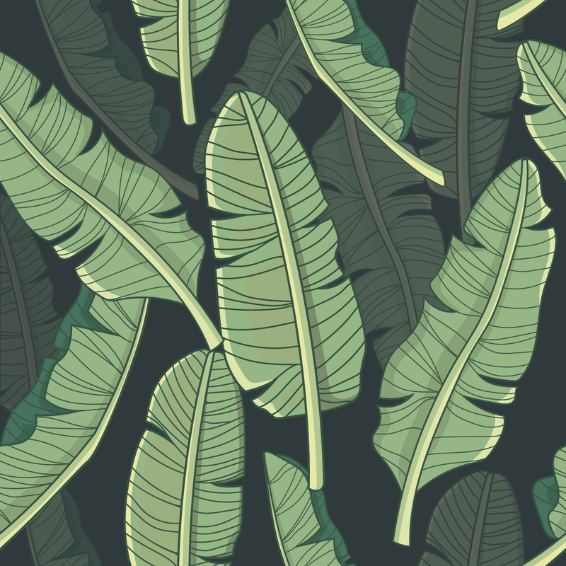 Black Wallpaper with Palm Leaves