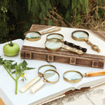 Magnifying Glass Collection, Set of 7 L751