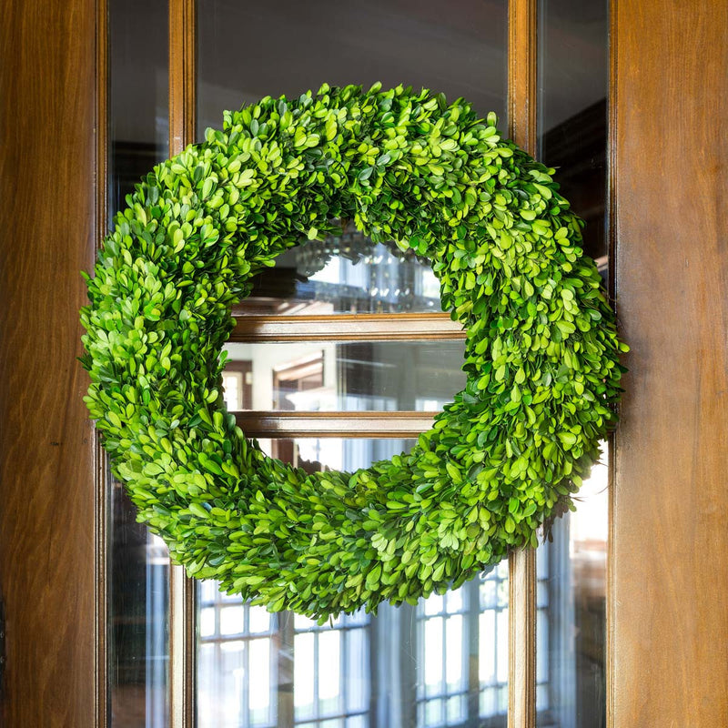 Preserved Boxwood Wreath, Large L094
