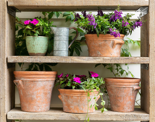 Large Terrace Planter, Set of 2 L506