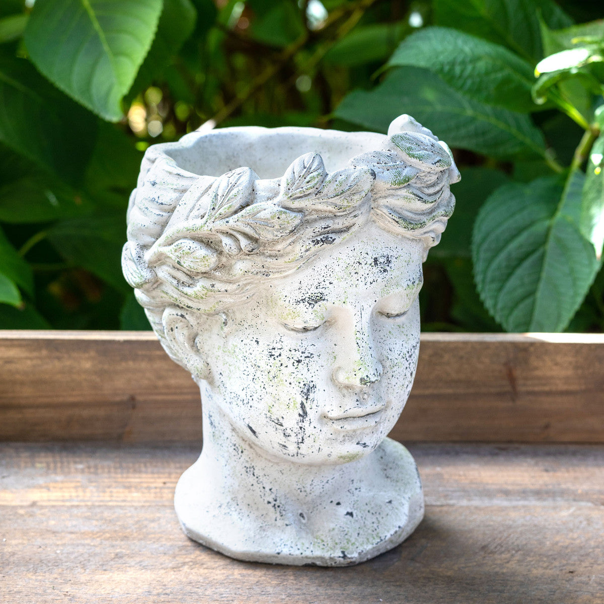 bust plant pots Park Hill Concrete Bust Planter Large
