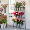 Flower Stem Display Rack L302