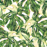 Voguish Monstera Wallpaper Vogue