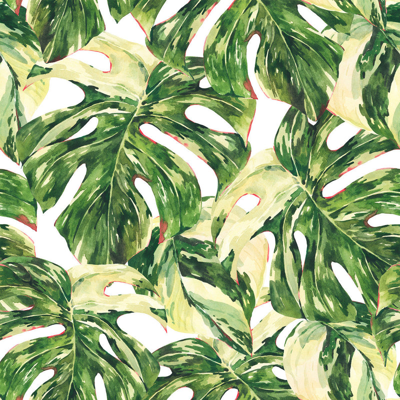 Voguish Monstera Wallpaper Vogue