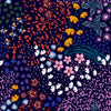 Brightly Floral Wallpaper and Dots