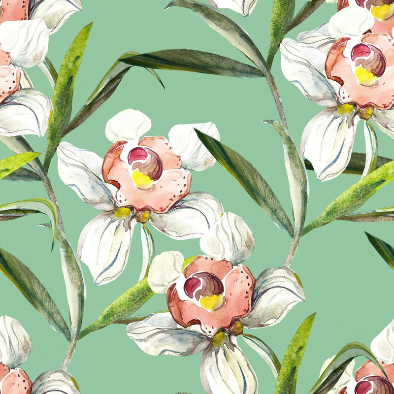 White Orchid on Green Background Wallpaper