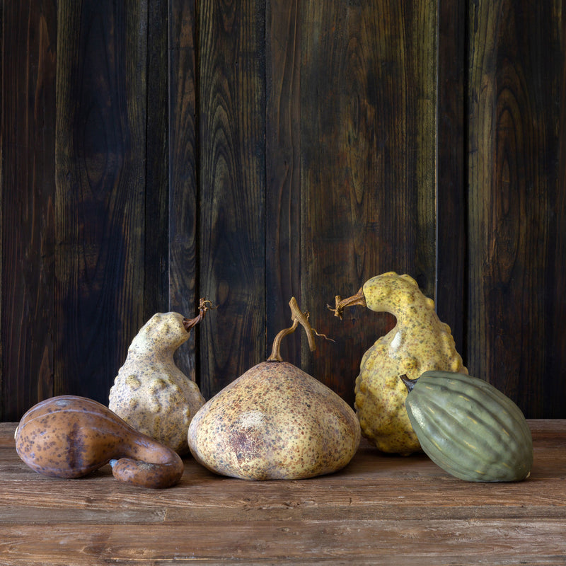 Lovecup Moonlight Gourds, Set of 5 L309