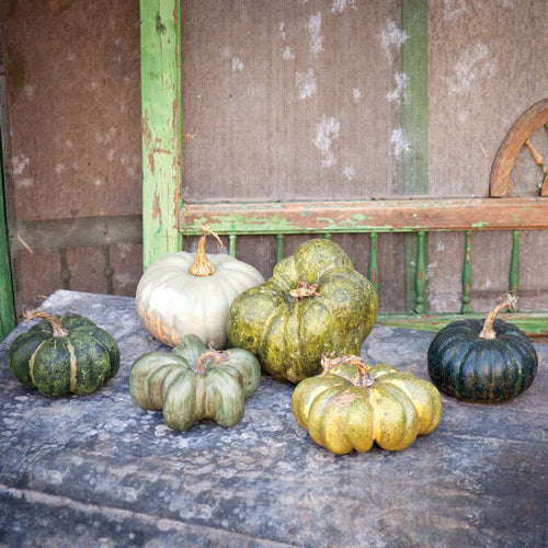 Lovecup Green Heirloom Pumpkin Collection L997