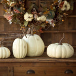 Lovecup Full Moon Pumpkin Collection L037