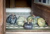 Lovecup Green Heirloom Pumpkins, Set of 5, L143