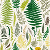Modish Fern Leaves Wallpaper Smart