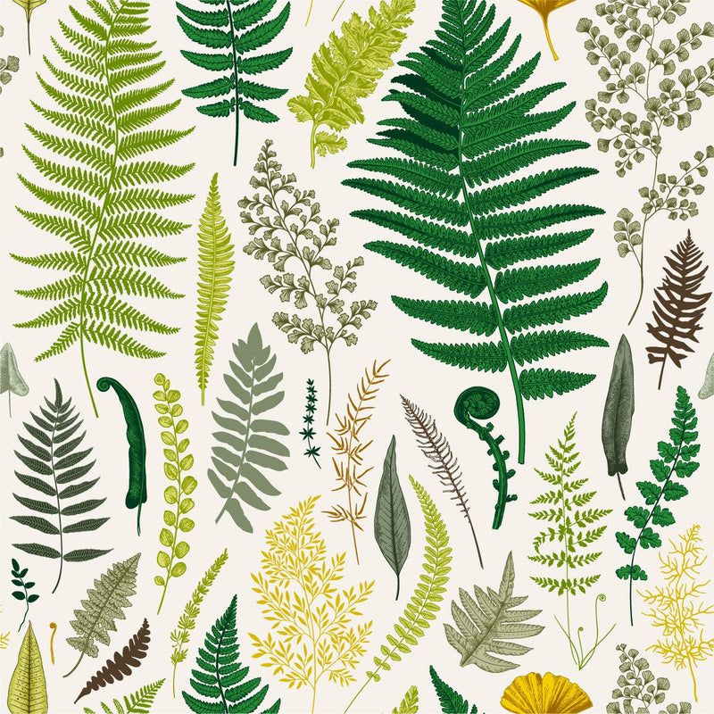 Modish Fern Leaves Wallpaper Smart