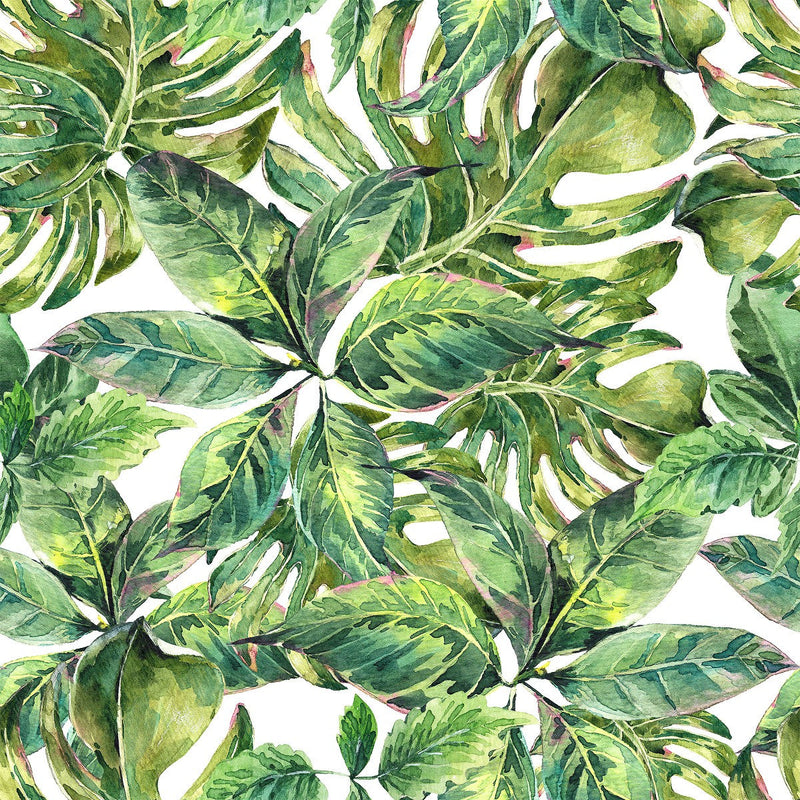 Green Plants Wallpaper