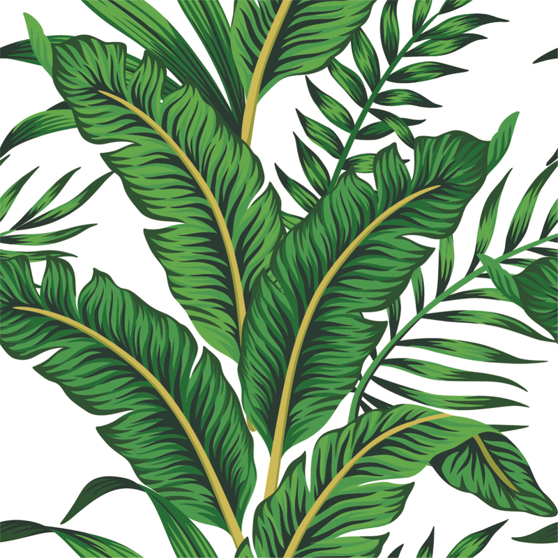 Palm Green Leaves Wallpaper