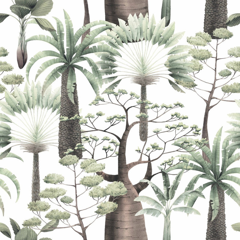 Palms Wallpaper
