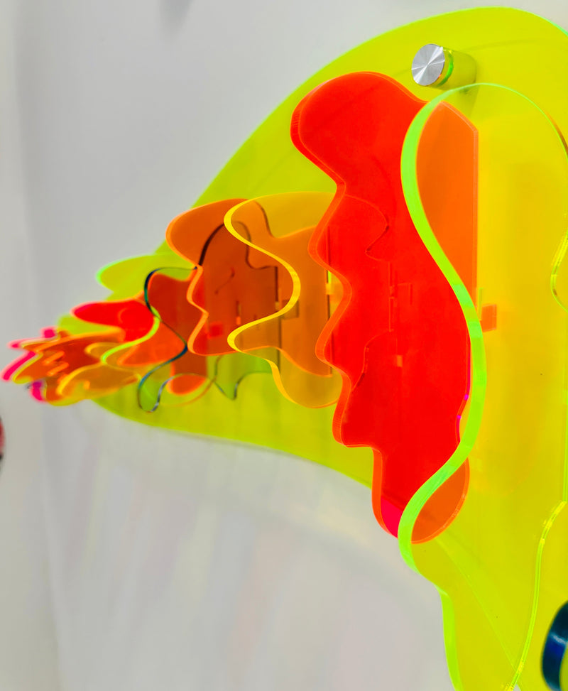 Transparent Rainbow 3D Wall Sculpture Parametric Art by uniQstiQ
