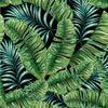 Large Palm Leaves Wallpaper