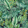 Plants Leaves Wallpaper