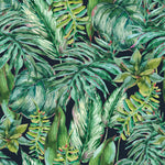 Plants Leaves Wallpaper