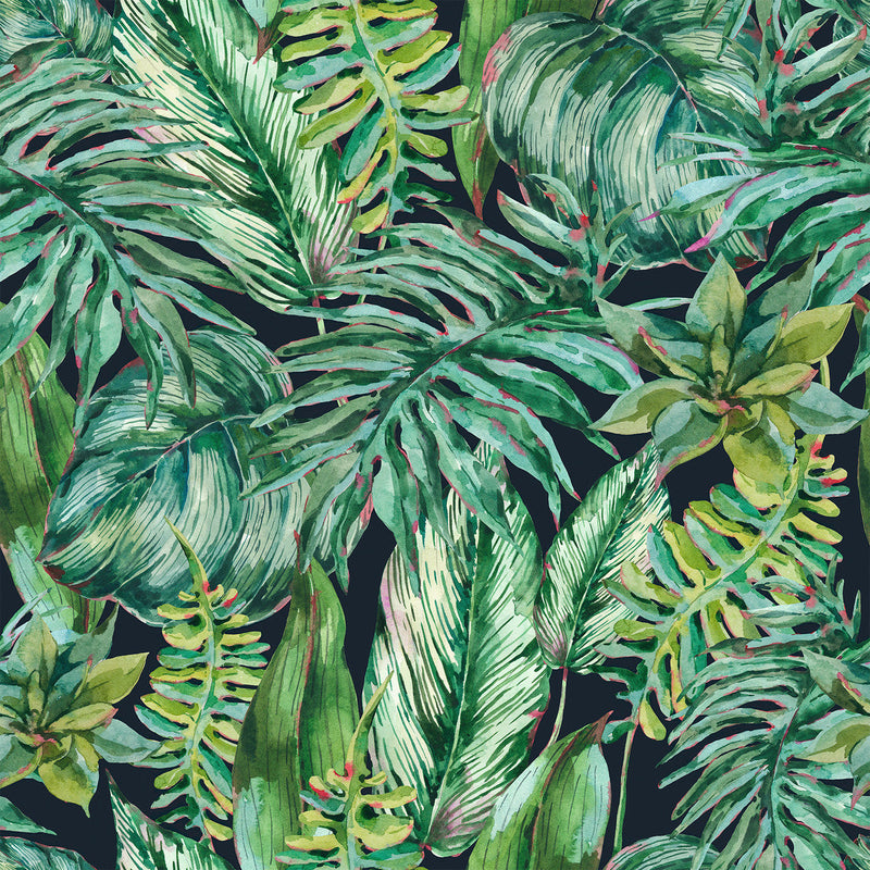 Plants Leaves Wallpaper