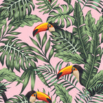 Pink Wallpaper with Toucans