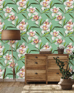 White Orchid on Green Background Wallpaper
