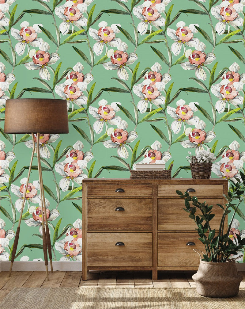 White Orchid on Green Background Wallpaper