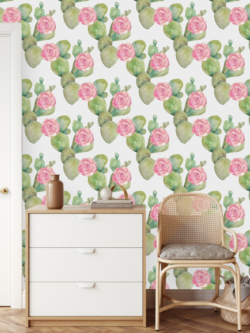 Cactus Wallpaper on White Background