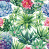 Modish Succulents Wallpaper Tasteful