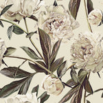 Contemporary Modern Beige Peonies Wallpaper