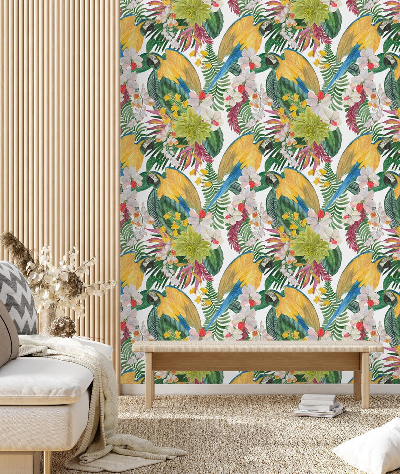 Parrots on White Background Wallpaper
