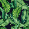 Black Wallpaper with Green Leaves