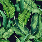 Black Wallpaper with Green Leaves