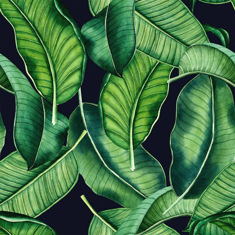 Black Wallpaper with Green Leaves
