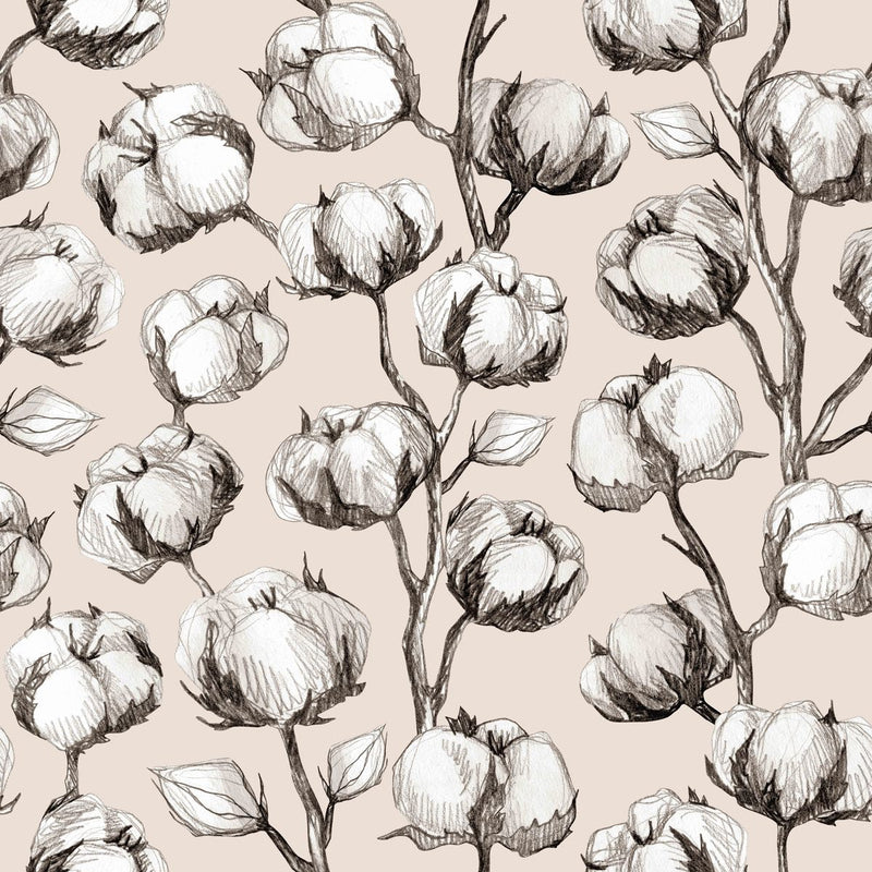Cotton on Pink Background Wallpaper