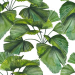 Fashionable Green Leaves Wallpaper Tasteful