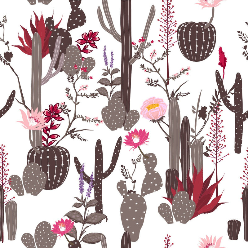 White Cactus Wallpaper