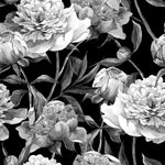 Black and White Peonies Wallpaper