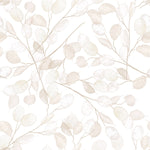 Transparence Leaves Wallpaper