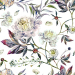 White Peonies Wallpaper