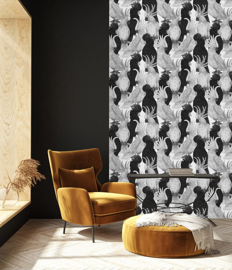 Black and White Parrots Wallpaper
