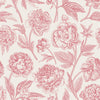 Pink Peonies Contours Wallpaper