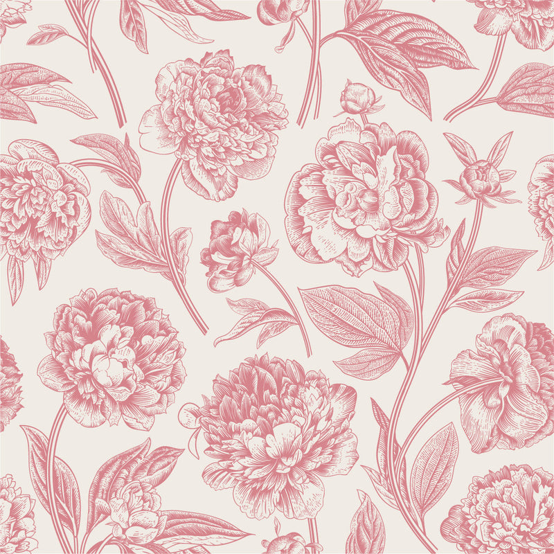 Pink Peonies Contours Wallpaper