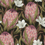 Protea Wallpaper