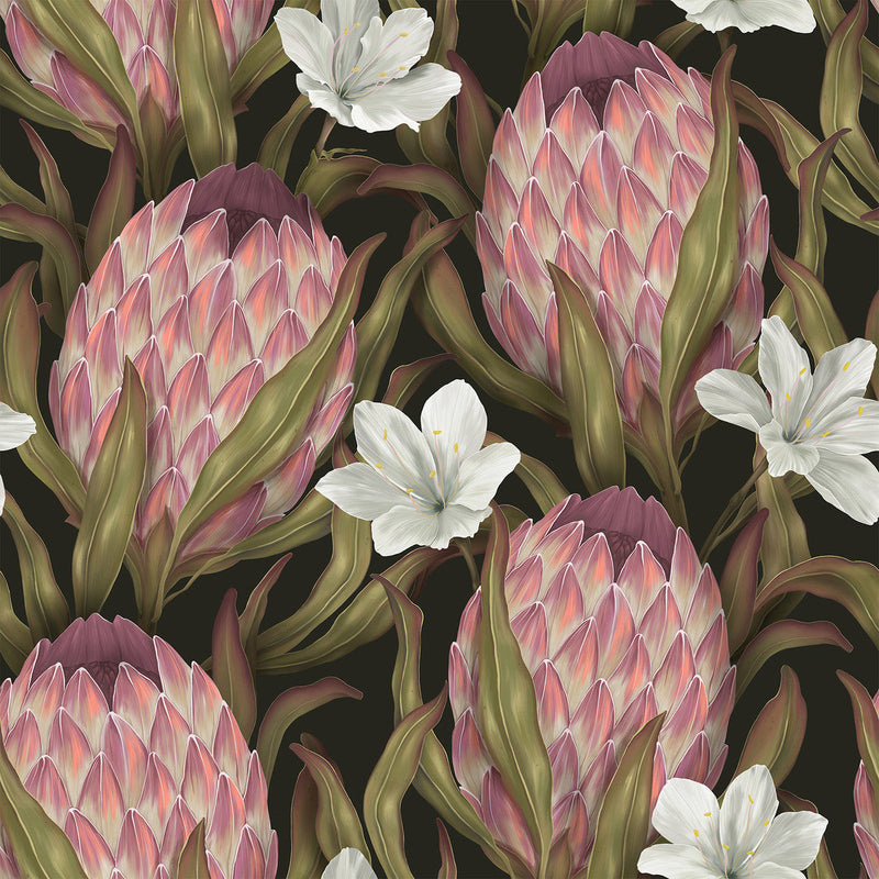 Protea Wallpaper