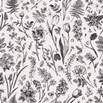 Black and White Meadow Flowers  Wallpaper