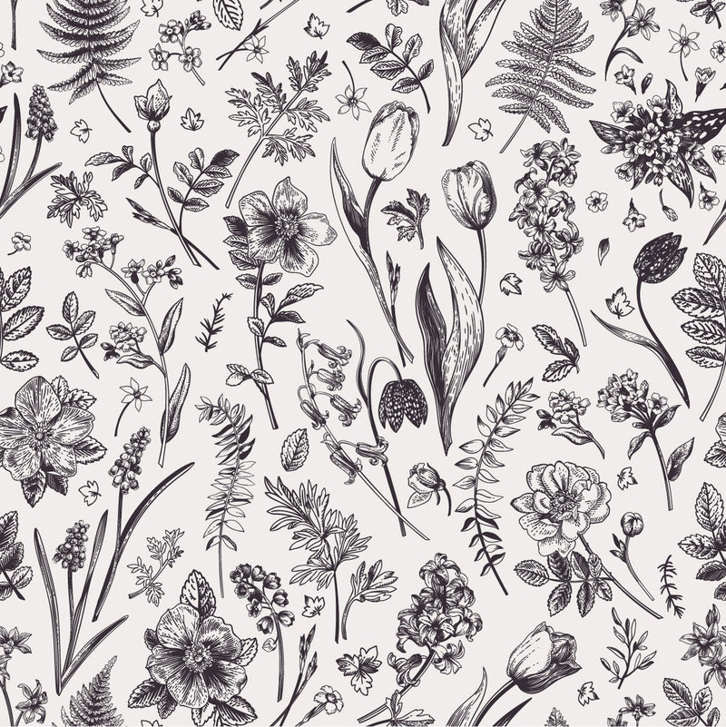 Black and White Meadow Flowers  Wallpaper