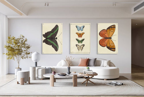 Butterflies Ornament Set of 3 Prints Modern Wall Art Modern Artwork