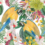 Parrots on White Background Wallpaper